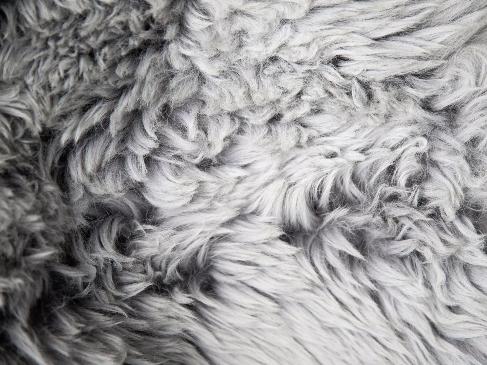 La Siala Apt.28-Dedans