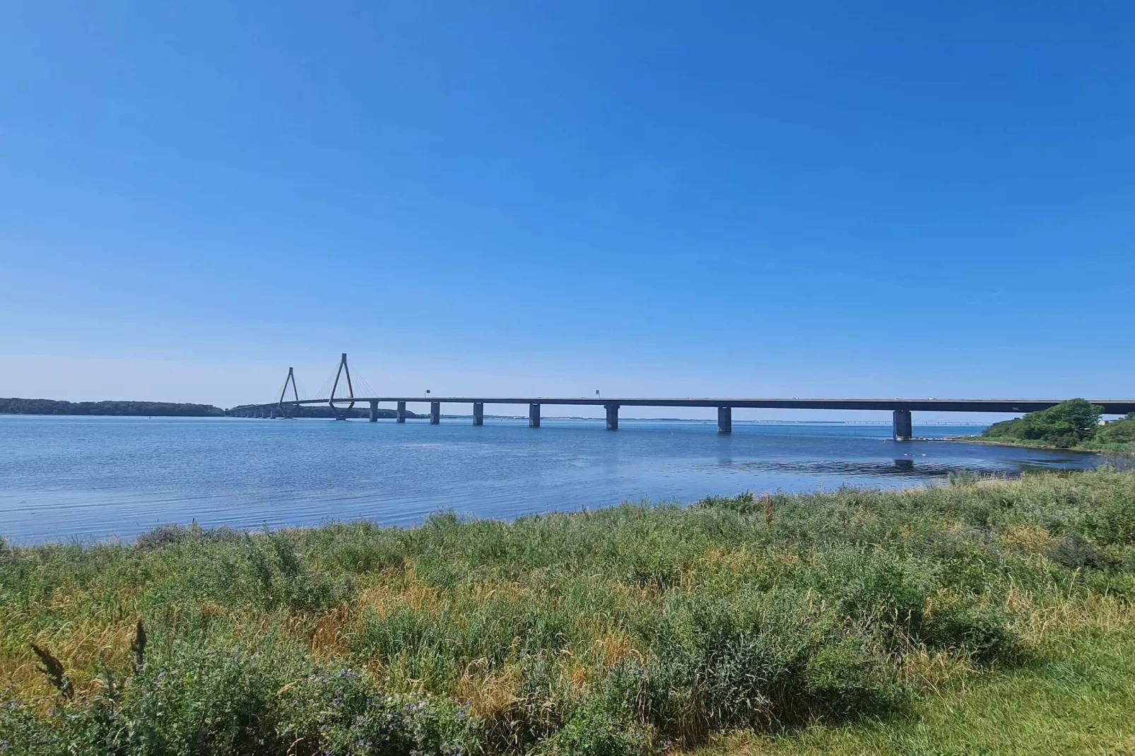6 Personen Ferienhaus in Bogø By-Wasserblick