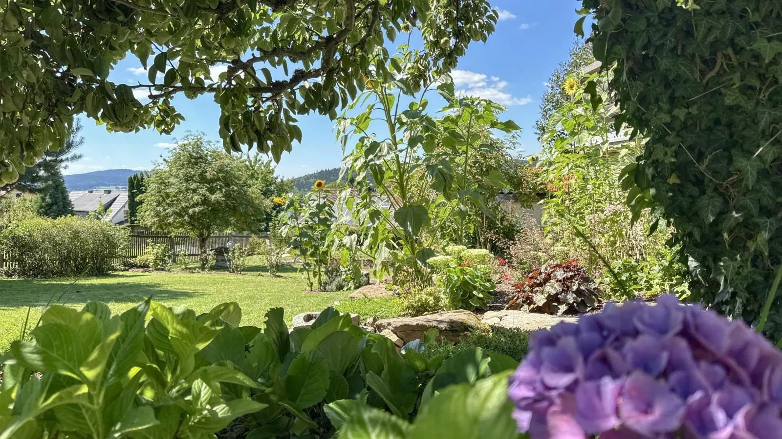 Hochfels-Gardens in summer