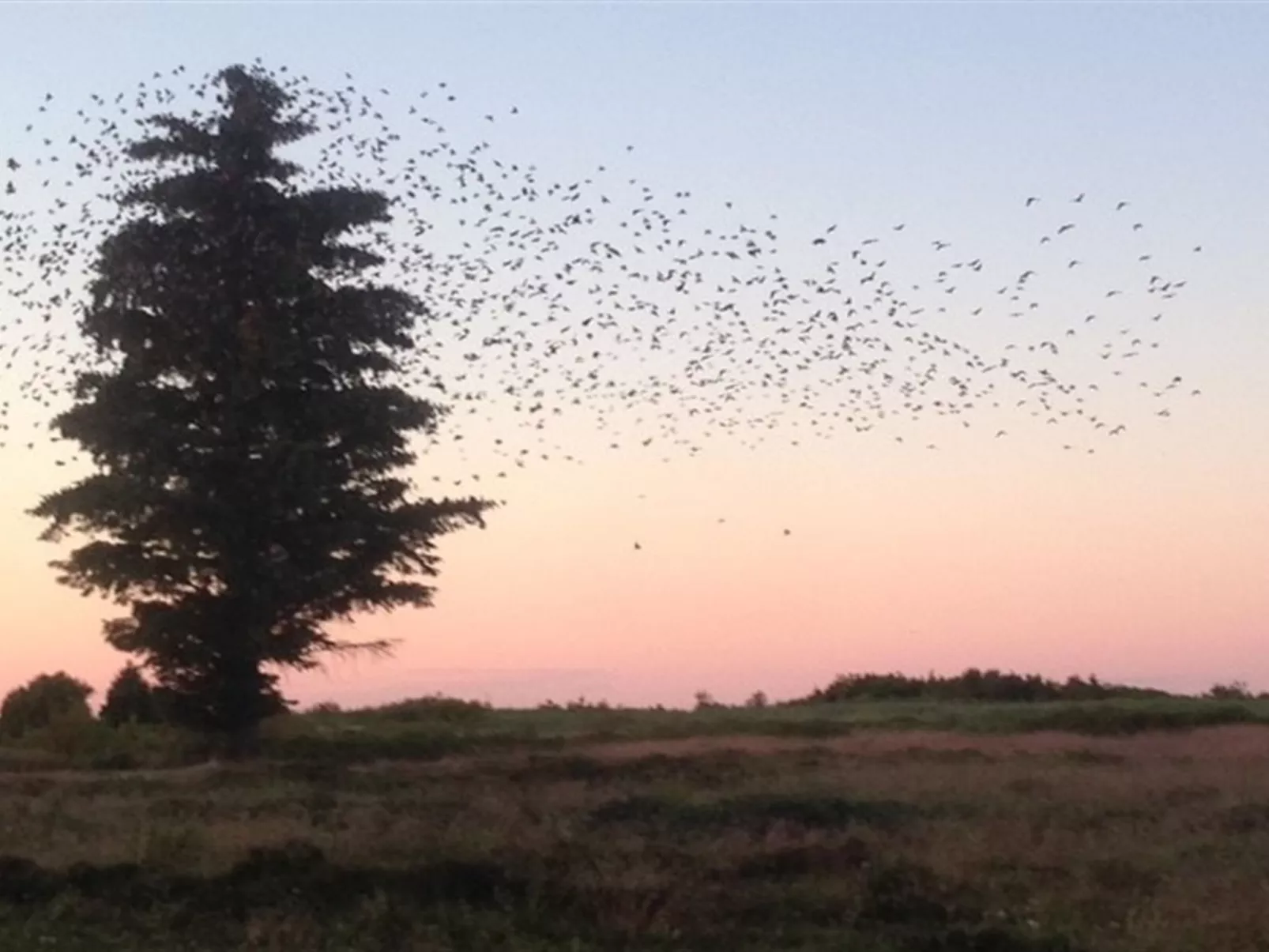 "Stig" - 1km from the sea-Draußen