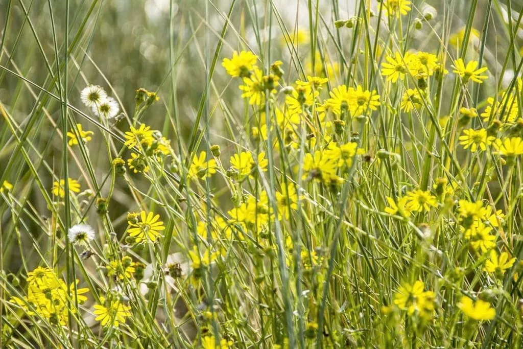 75893-Nicht zugeordnet