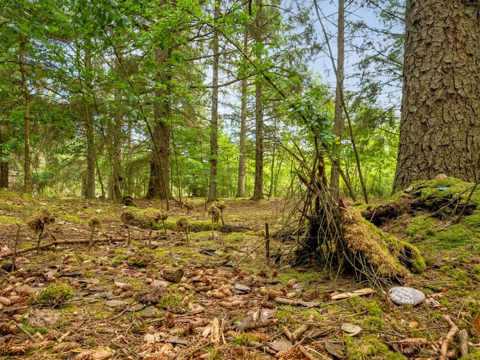 "Kanerva" -  from the sea-Outside