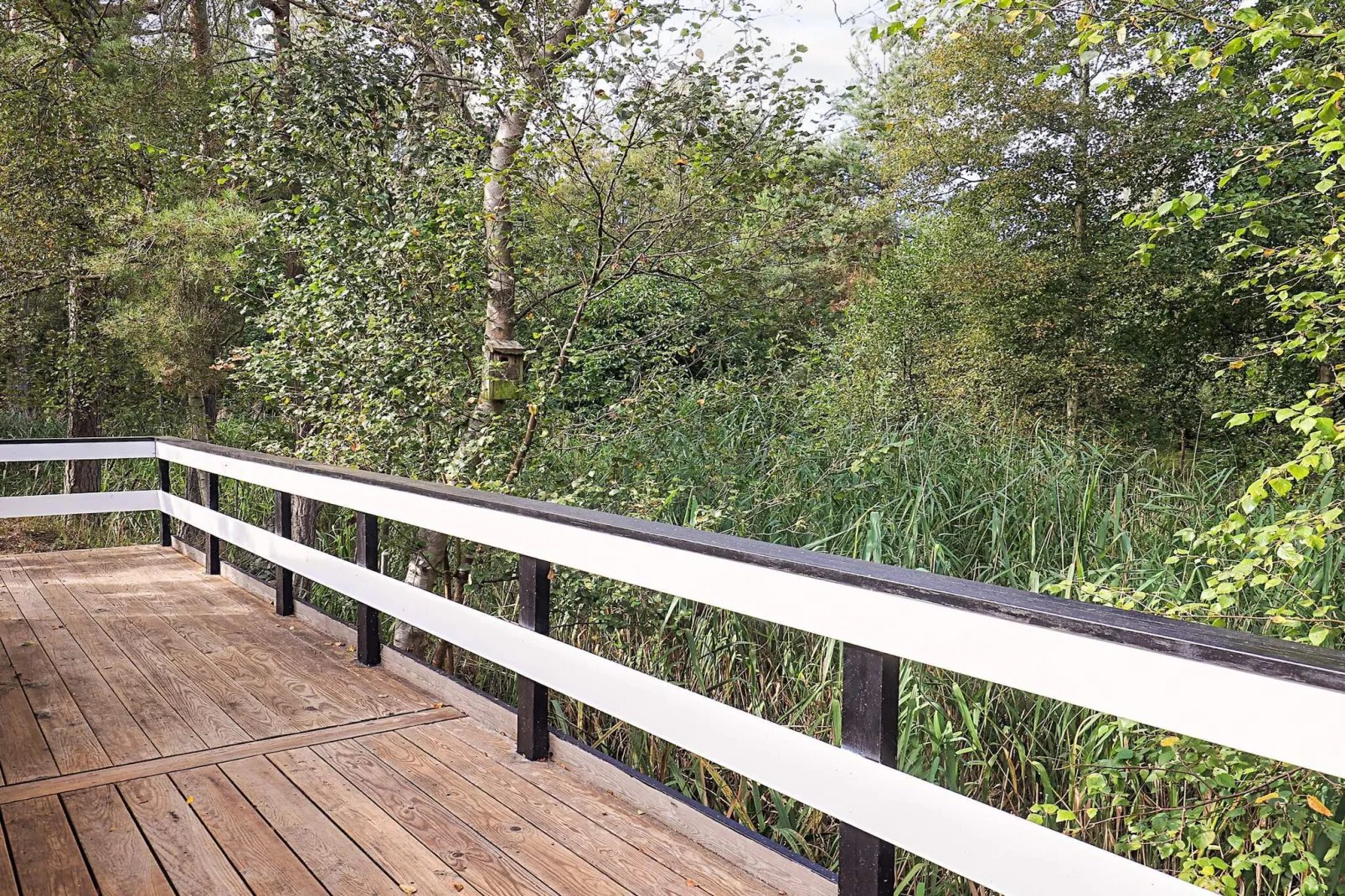 6 Personen Ferienhaus in Stege-Im Freien