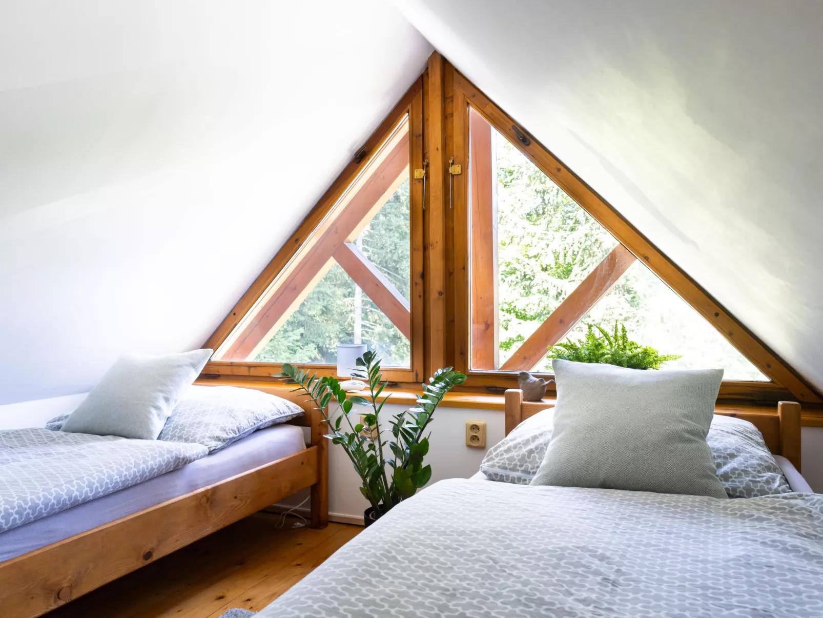 Sachrův Kopec-Dedans