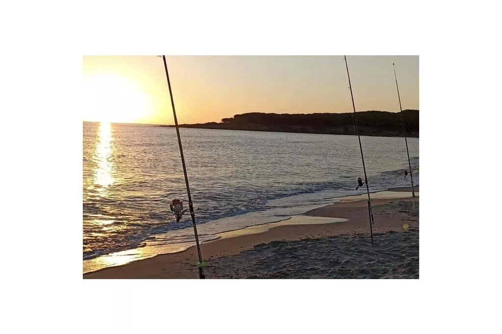 538929-Nicht zugeordnet