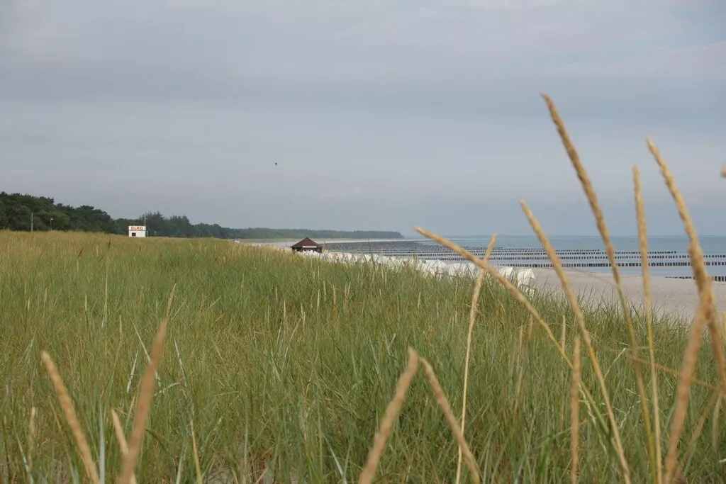 132024-Nicht zugeordnet