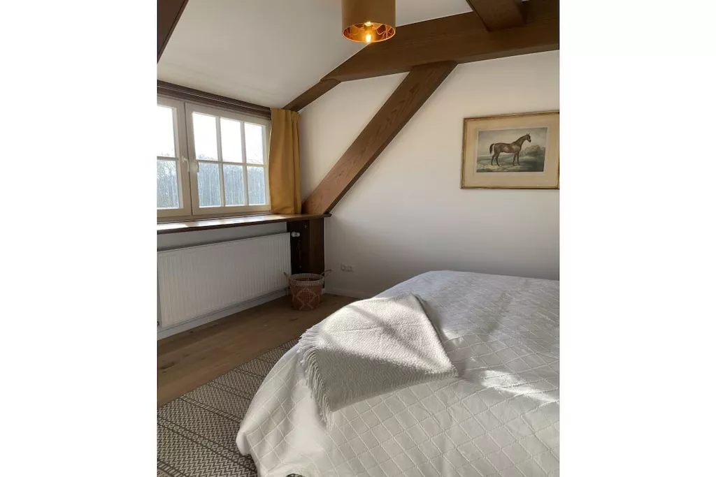 436051-Nicht zugeordnet