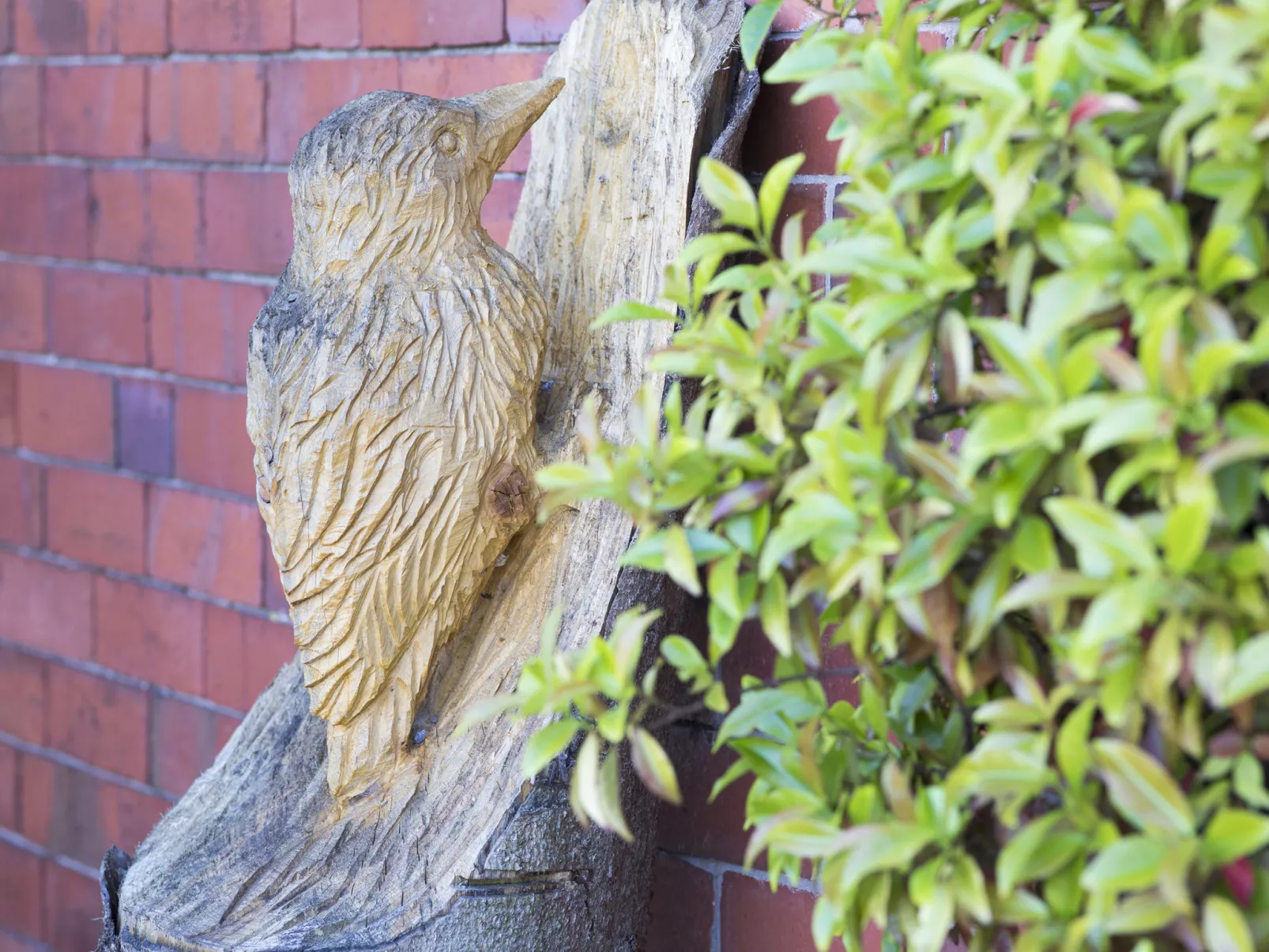 Woodpecker Cottage-Outside