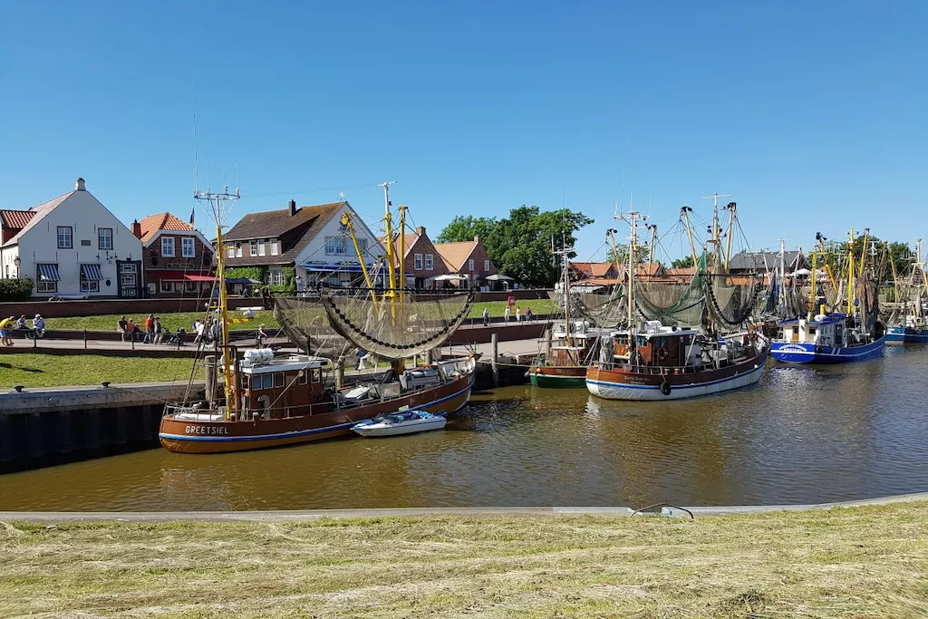 202588-Nicht zugeordnet