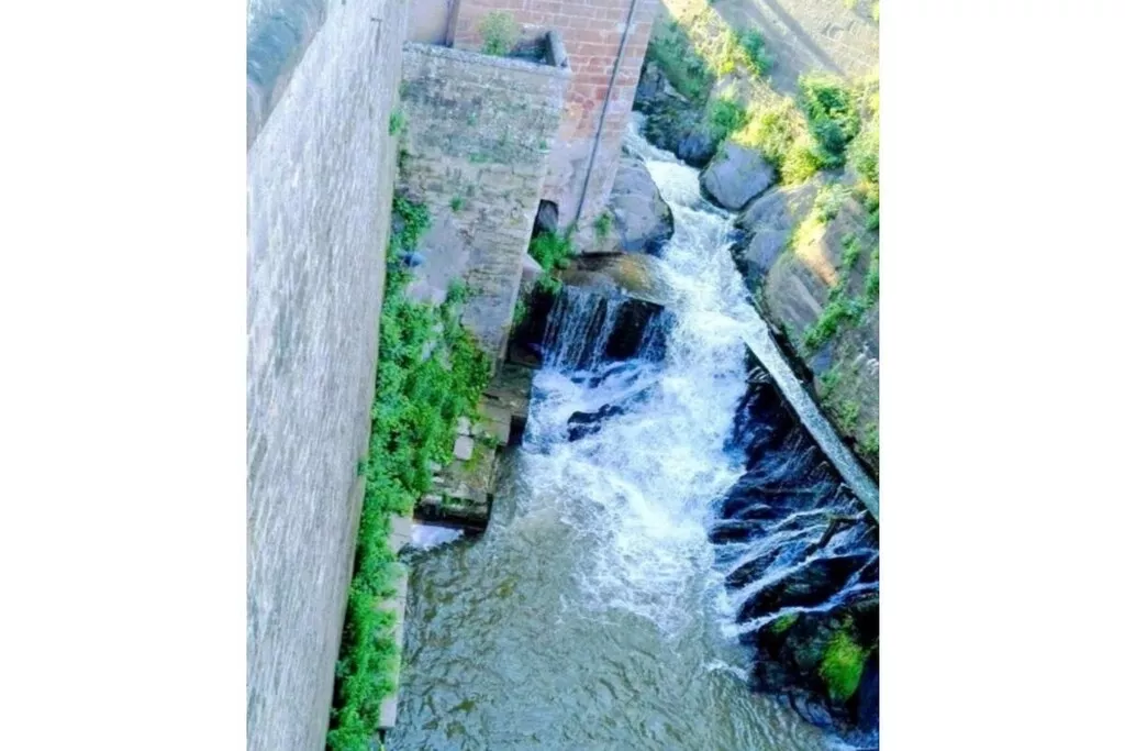 17488-Nicht zugeordnet