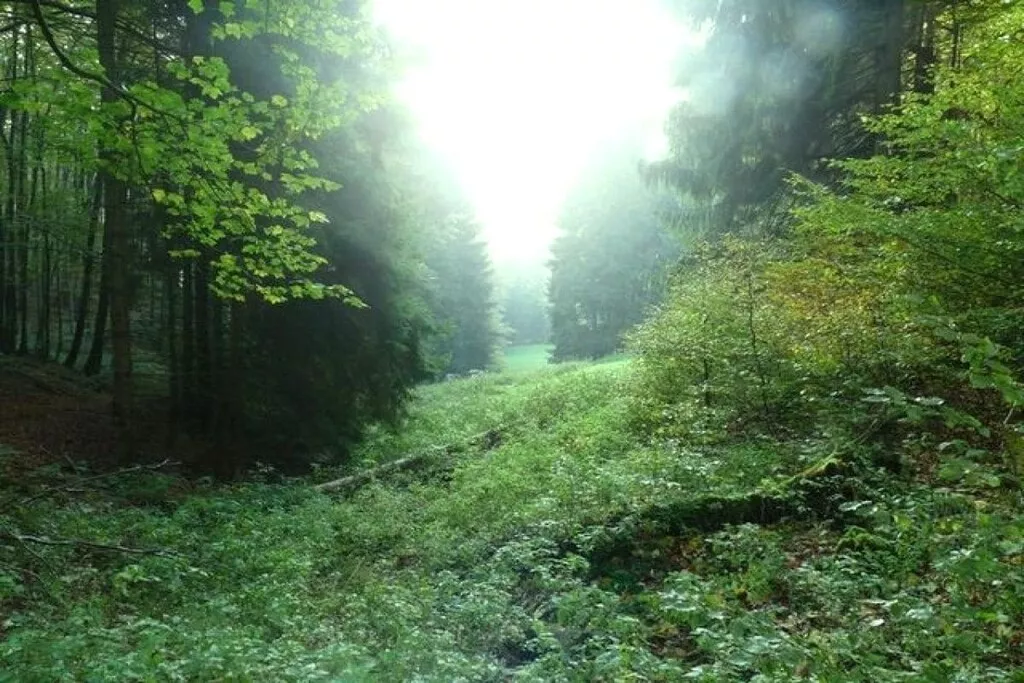 14349-Nicht zugeordnet