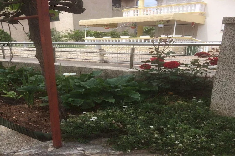 Apartments Villa Tanja - Two Bedroom Apartment with Terrace-Gardens in summer