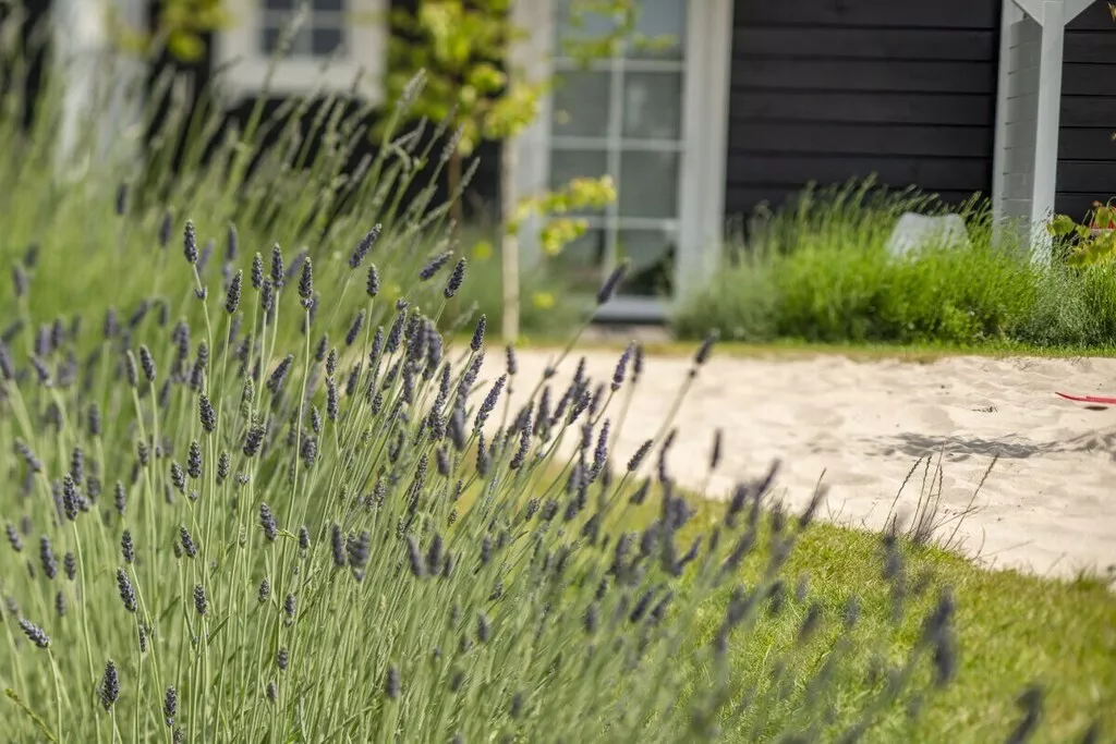 241695-Nicht zugeordnet