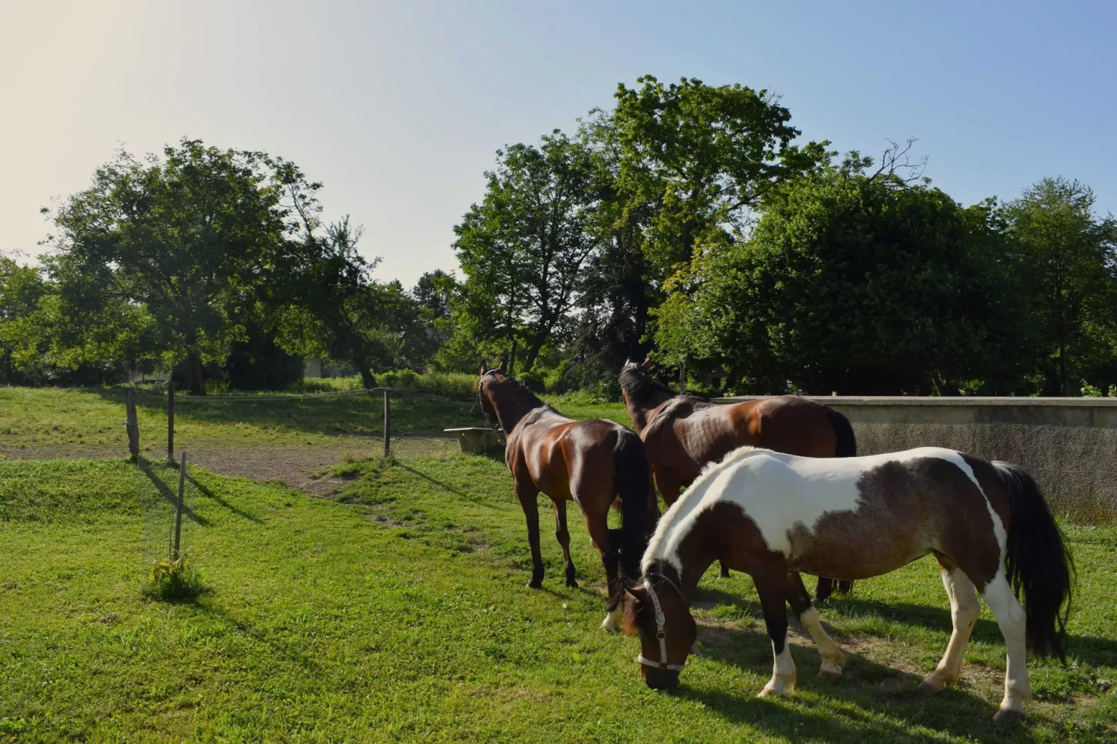 Zevnik Quiet Retreat with Stunning Views and Equestrian Activities - Triple Room with Private  Bathroom-Outdoor