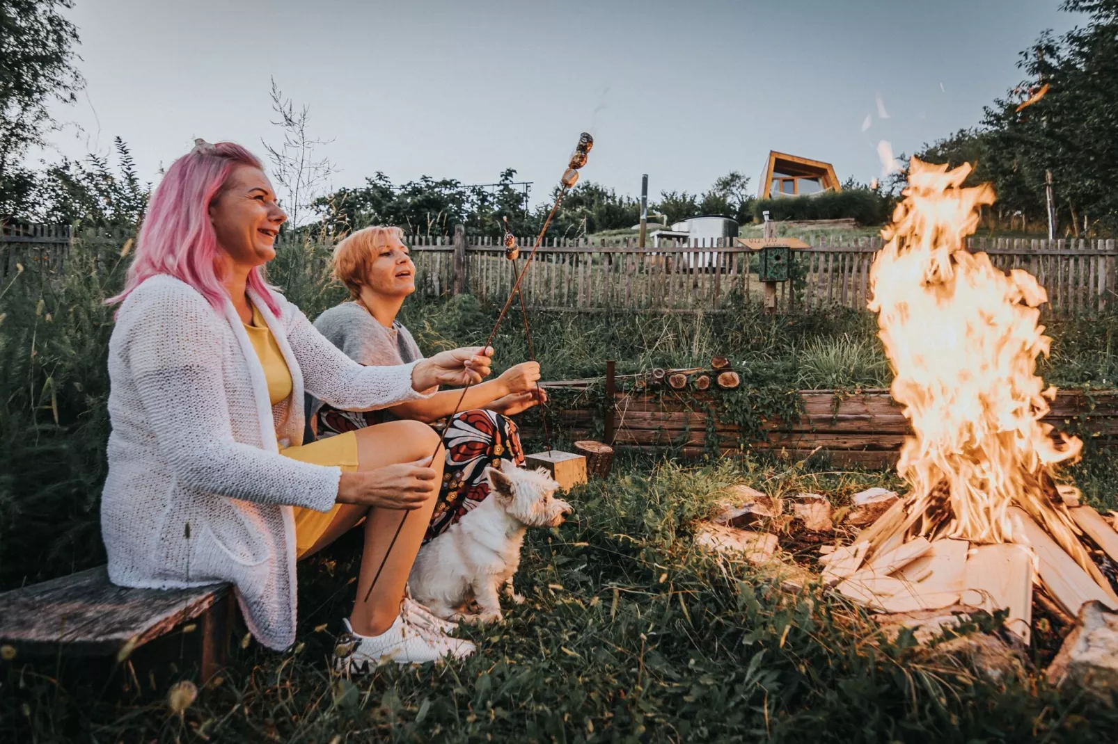 Rustic Refuge Glamping with Hot-Tub and Sauna - Double room with Terrace