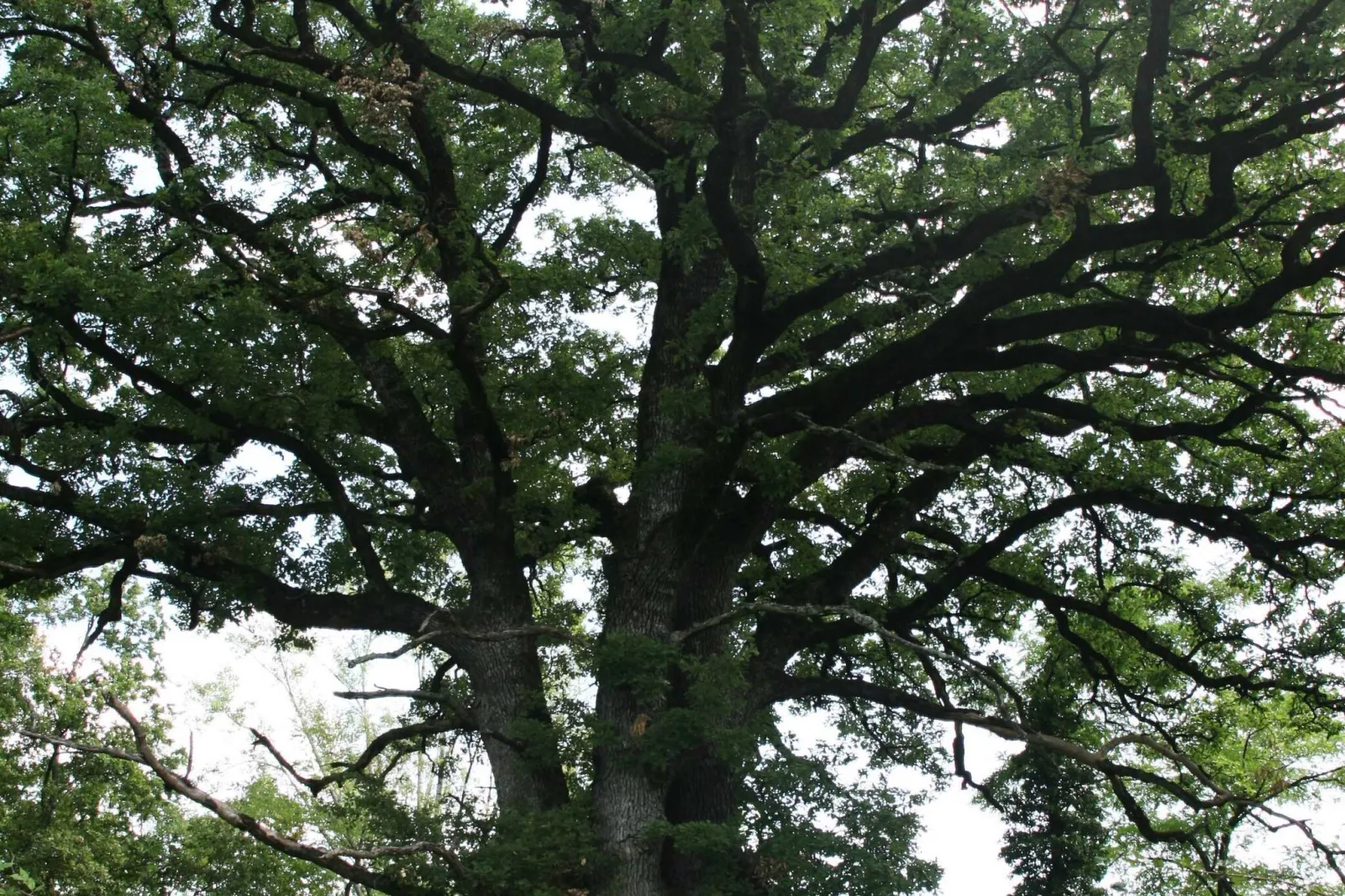 Abitanti Rustic Apartment with Balcony - Two Bedroom Apartment with Balcony-Im Freien