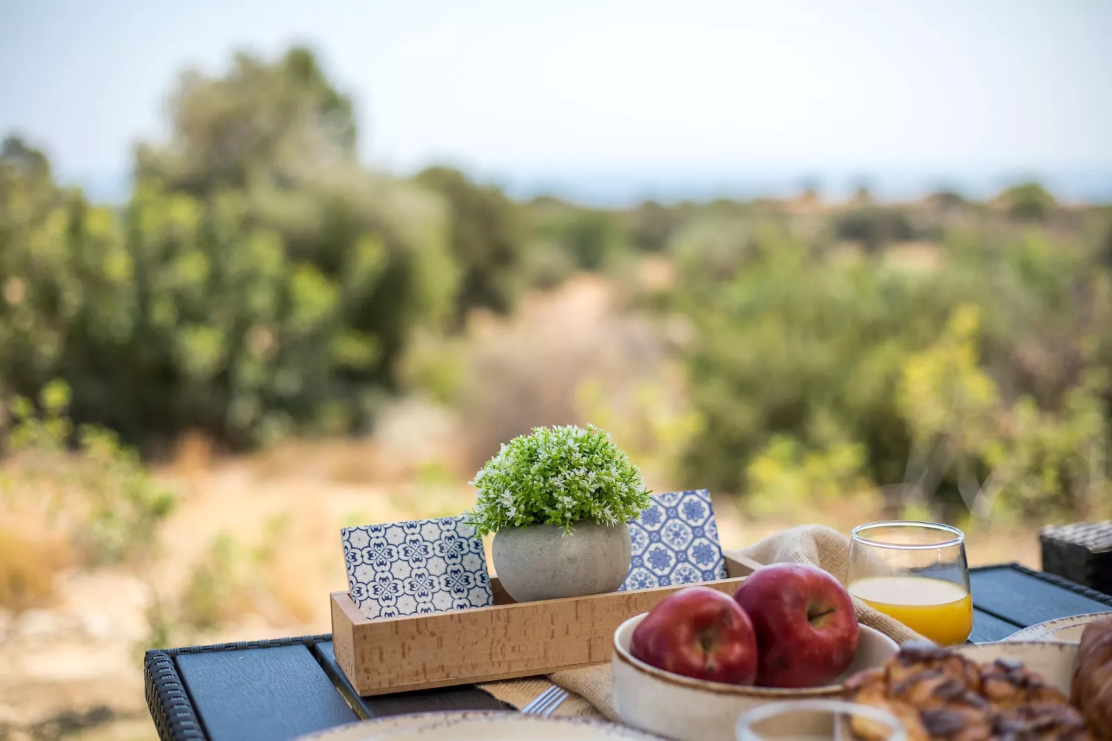EMARMENE AGROTOURISTIC-Ambiance