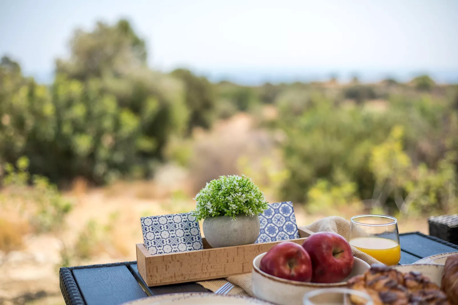 EMARMENE AGROTOURISTIC-Ambiente