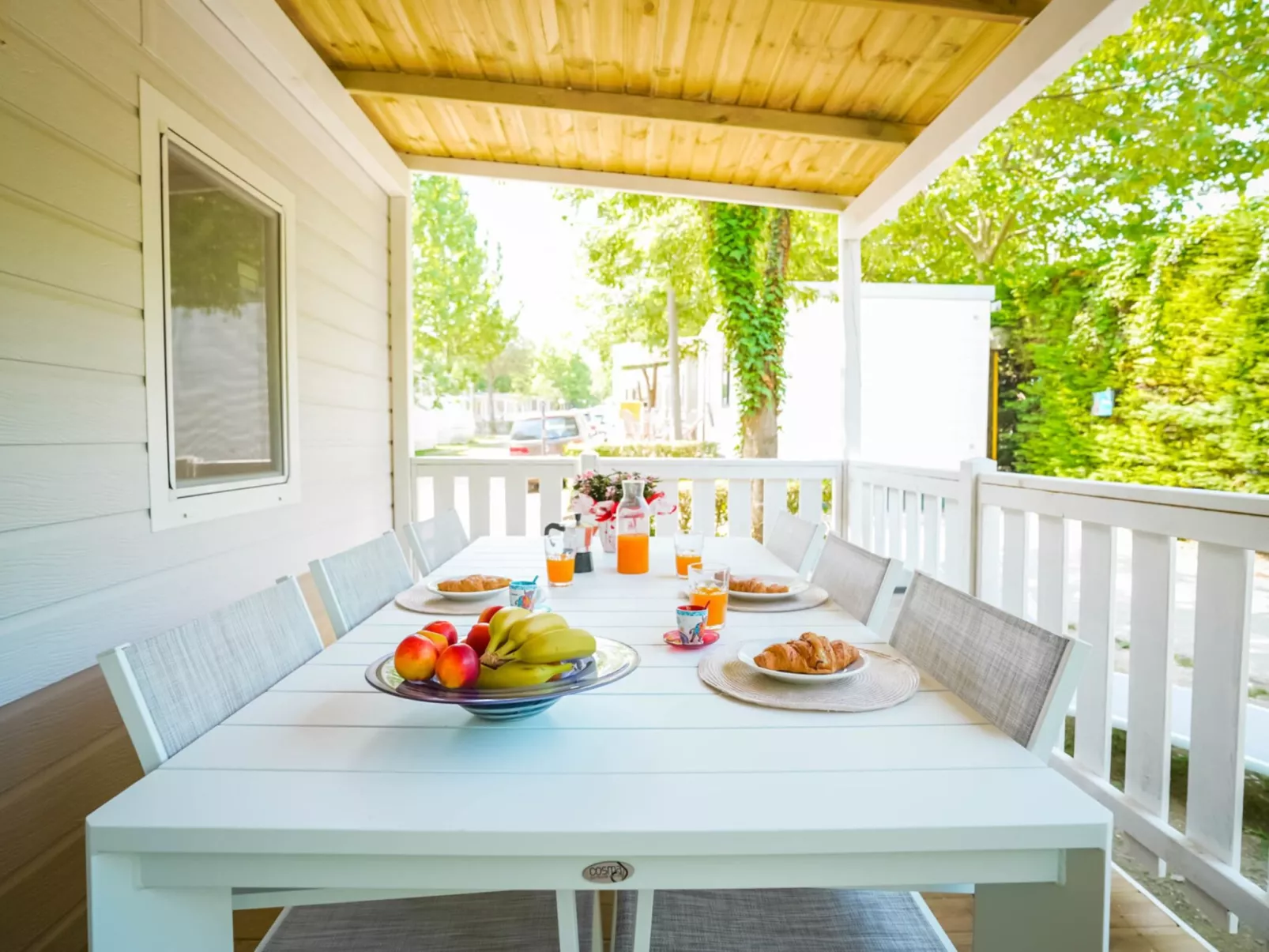 Camping Butterfly-Outside