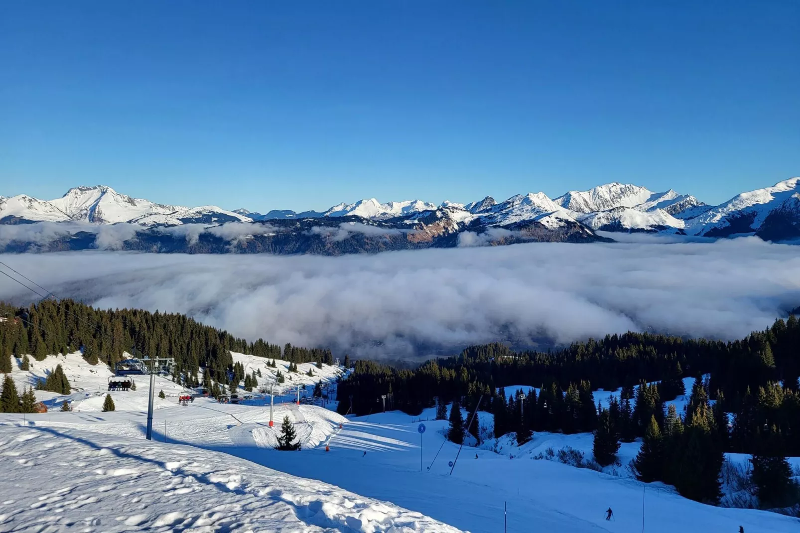 Jardins Alpins A N°20 - 2P6 - Gebiet Winter 20 km