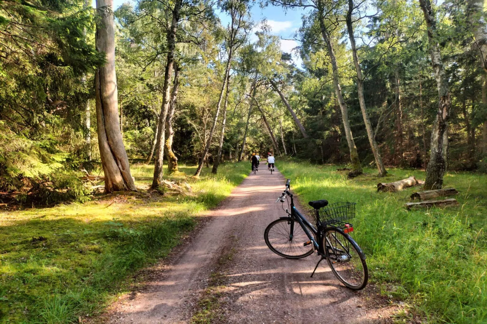 5 Sterne Ferienhaus in Frederiksværk-Nicht zugeordnet