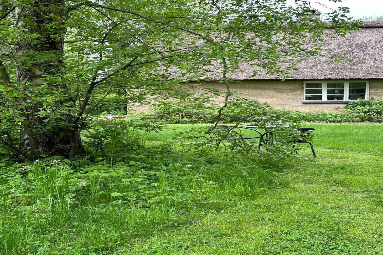 5 star holiday home in Knebel-Untagged