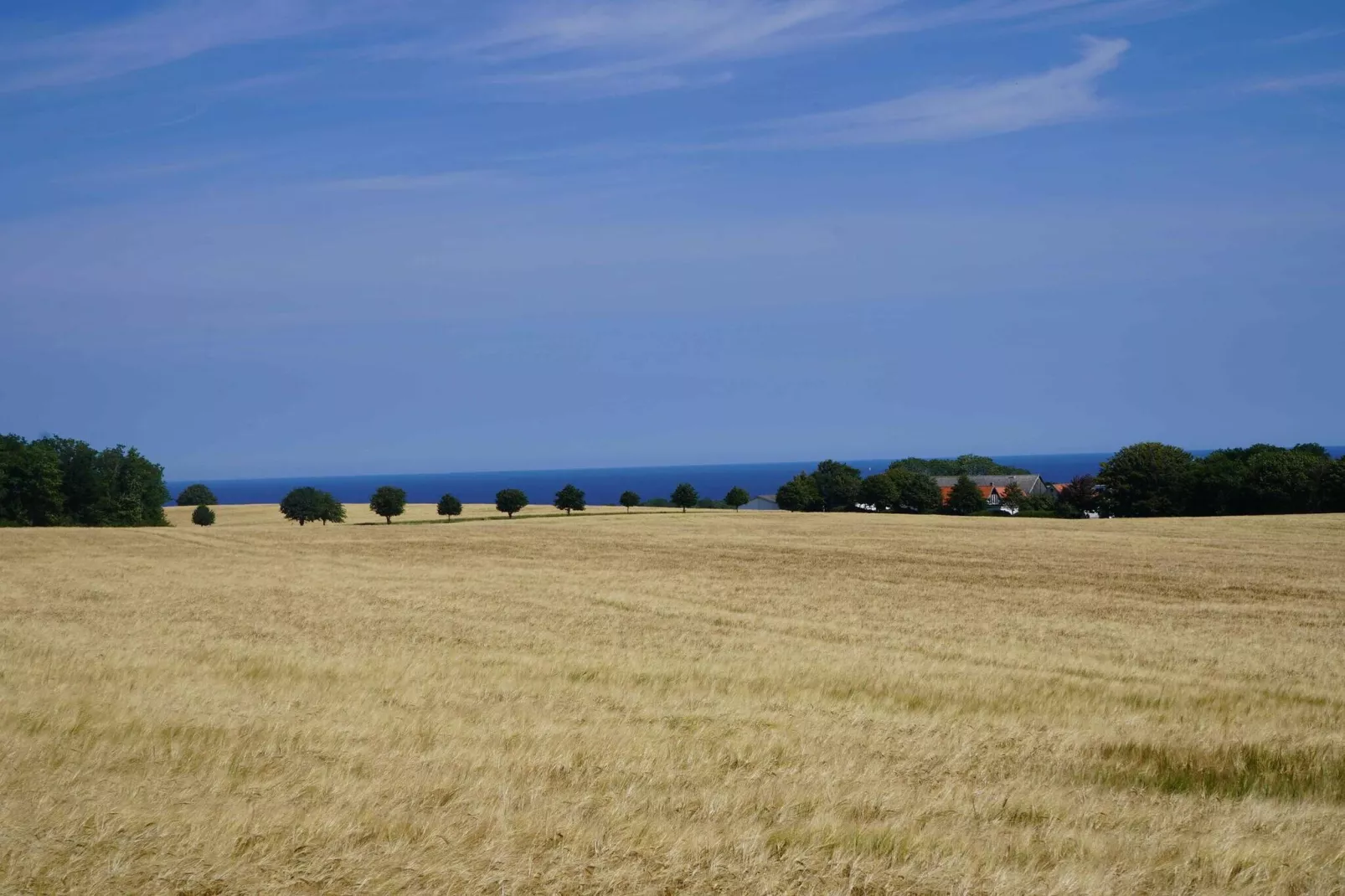 5 star holiday home in Allinge-Outdoor