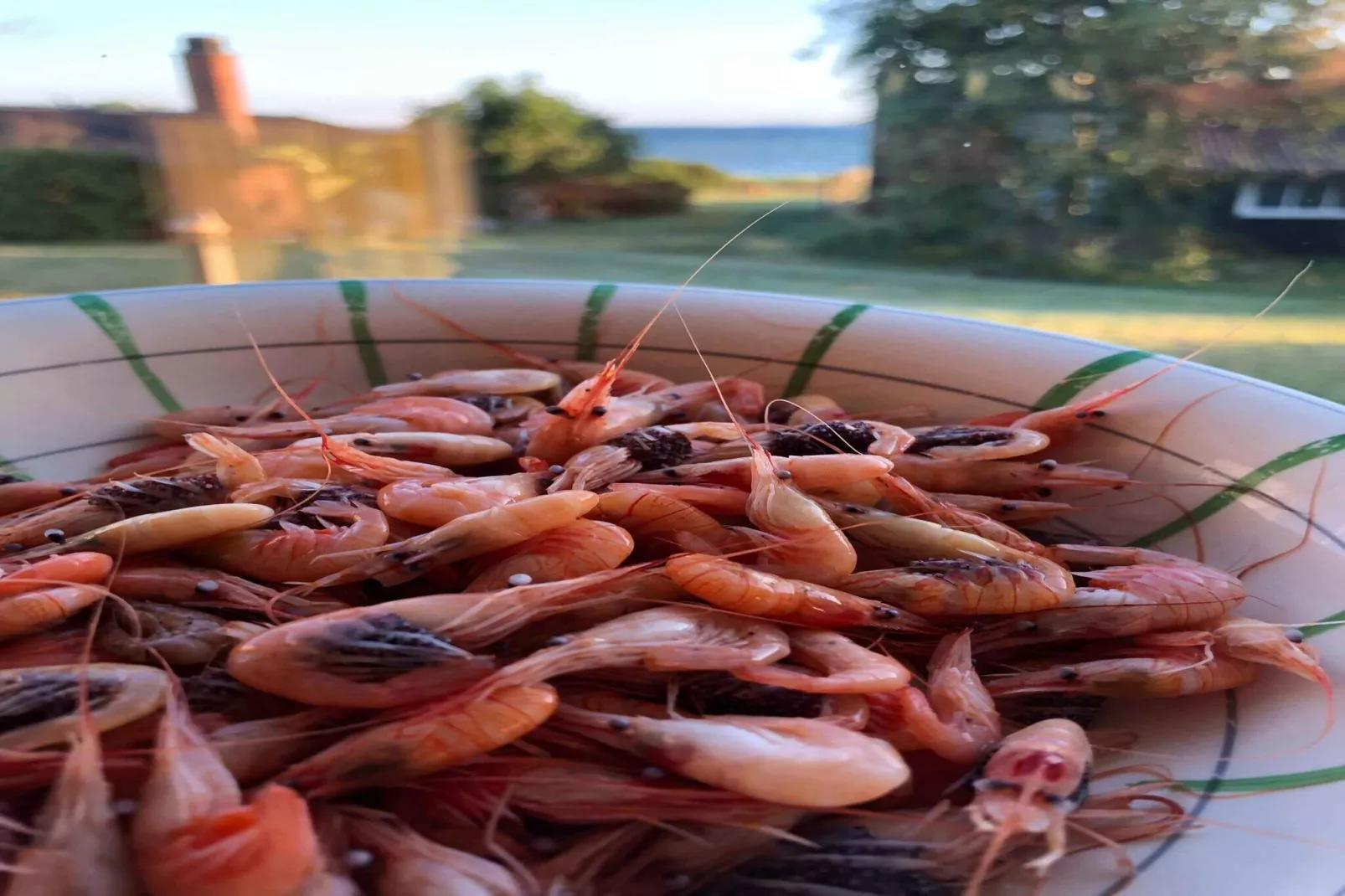 6 person holiday home in Jægerspris-View