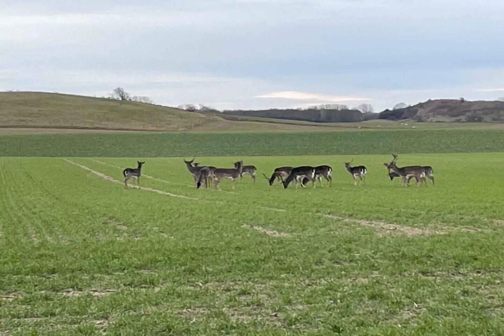 5 etoiles maison de vacances a Bagenkop-Non tagué