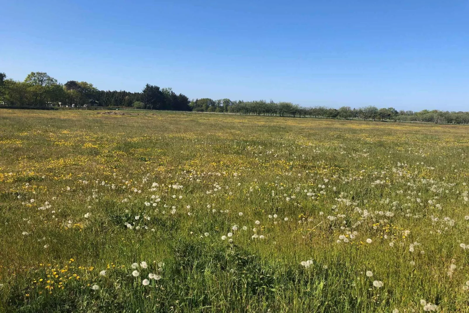 4 star holiday home in Hadsund-Outdoor