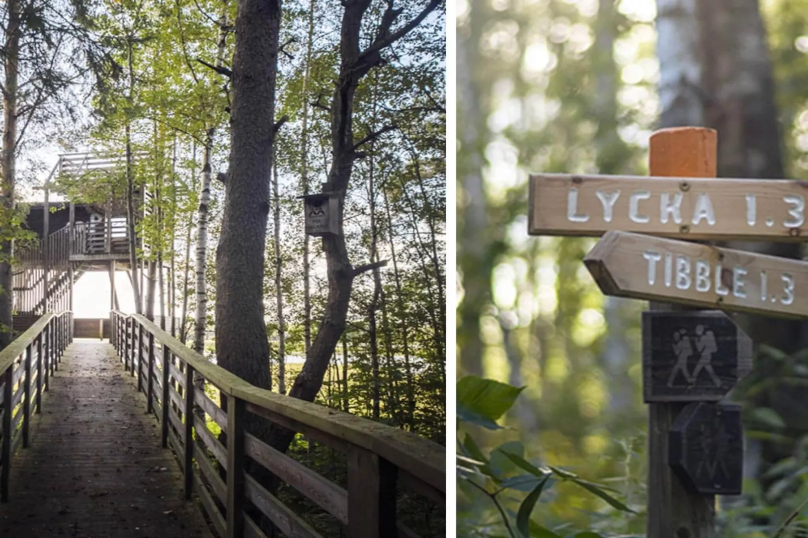 Escapade confortable près de la forêt et du lac-Extérieur