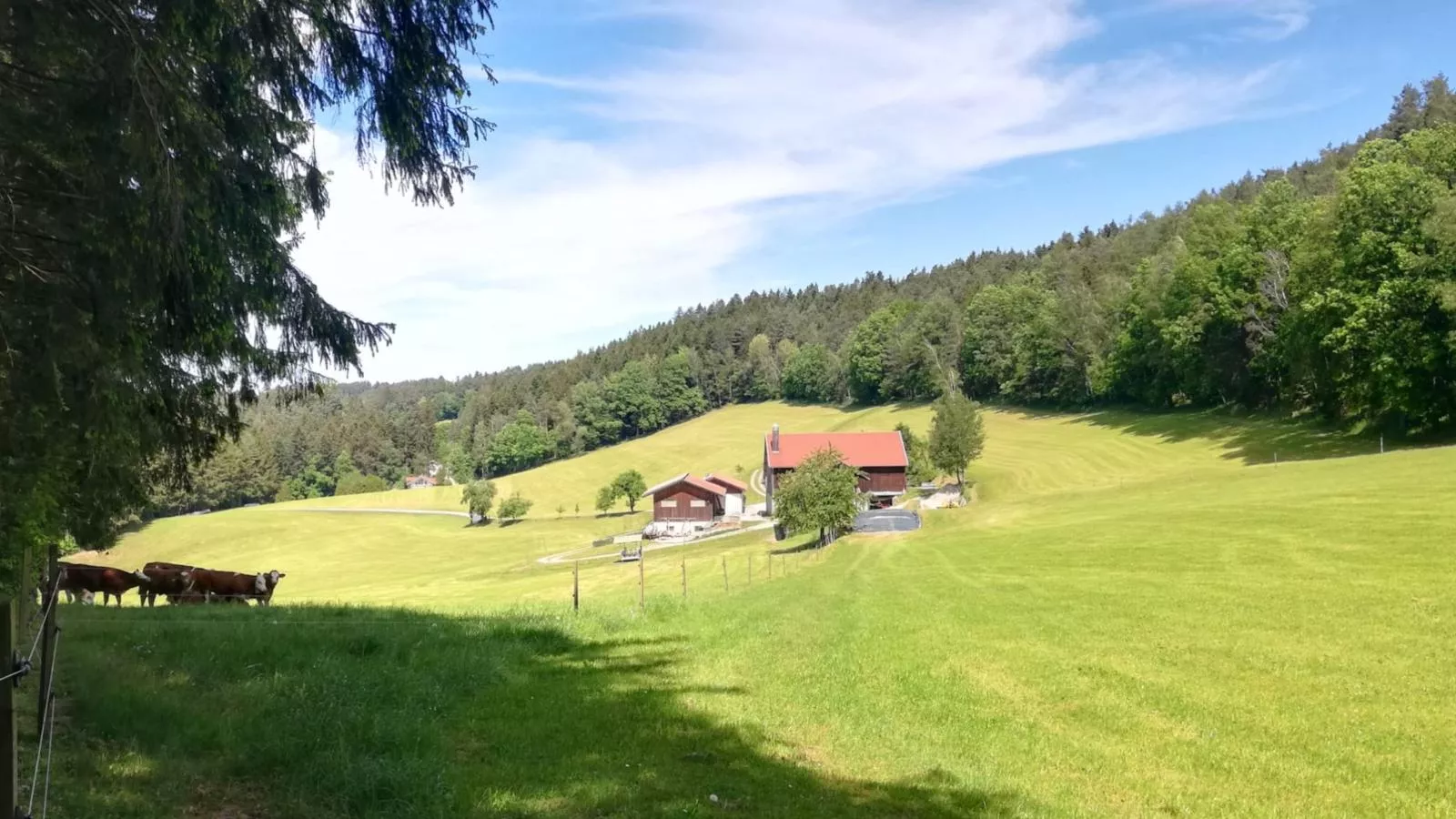 Berghof-Exterior in summer