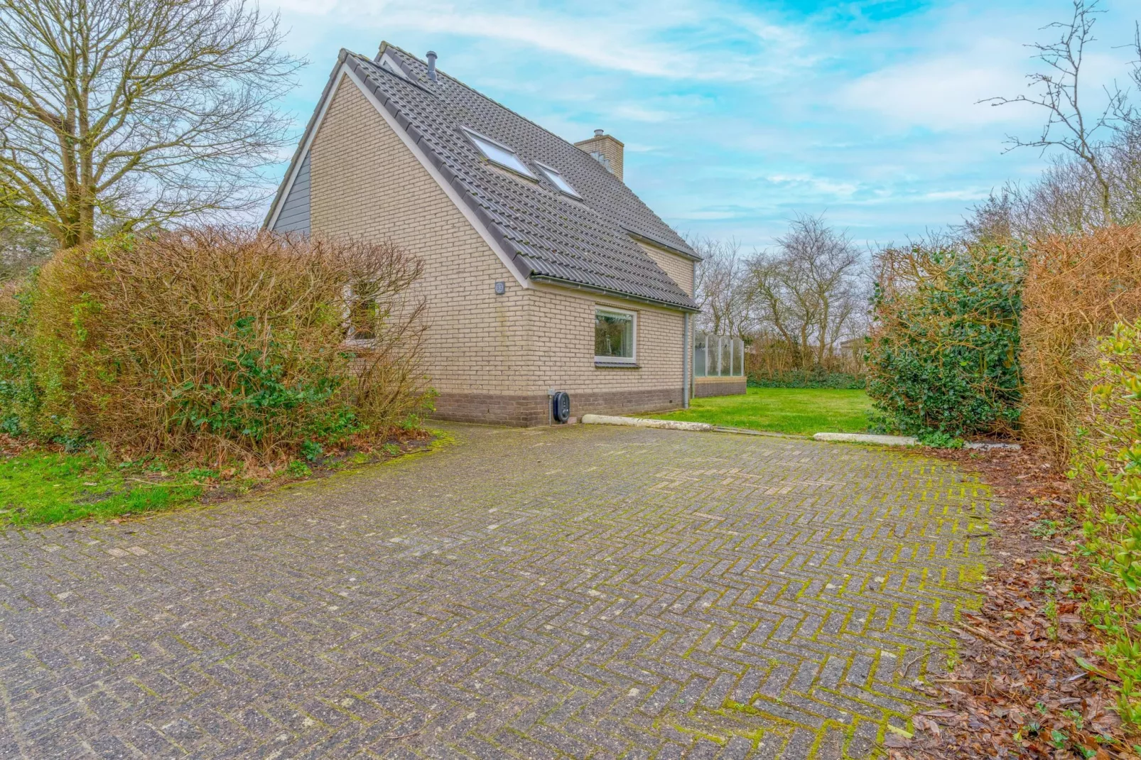 Kamperfoelie 33-Extérieur été