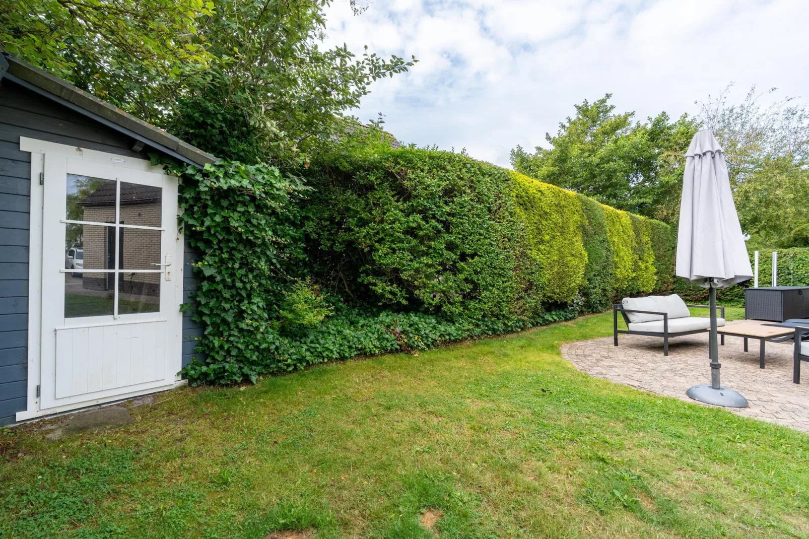 Kamperfoelie 49-Gardens in summer