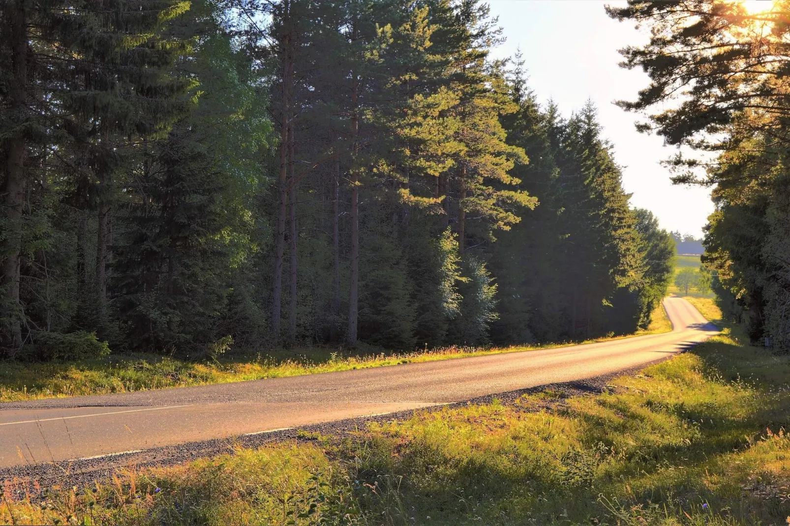 5 person holiday home in FLISBY-Untagged