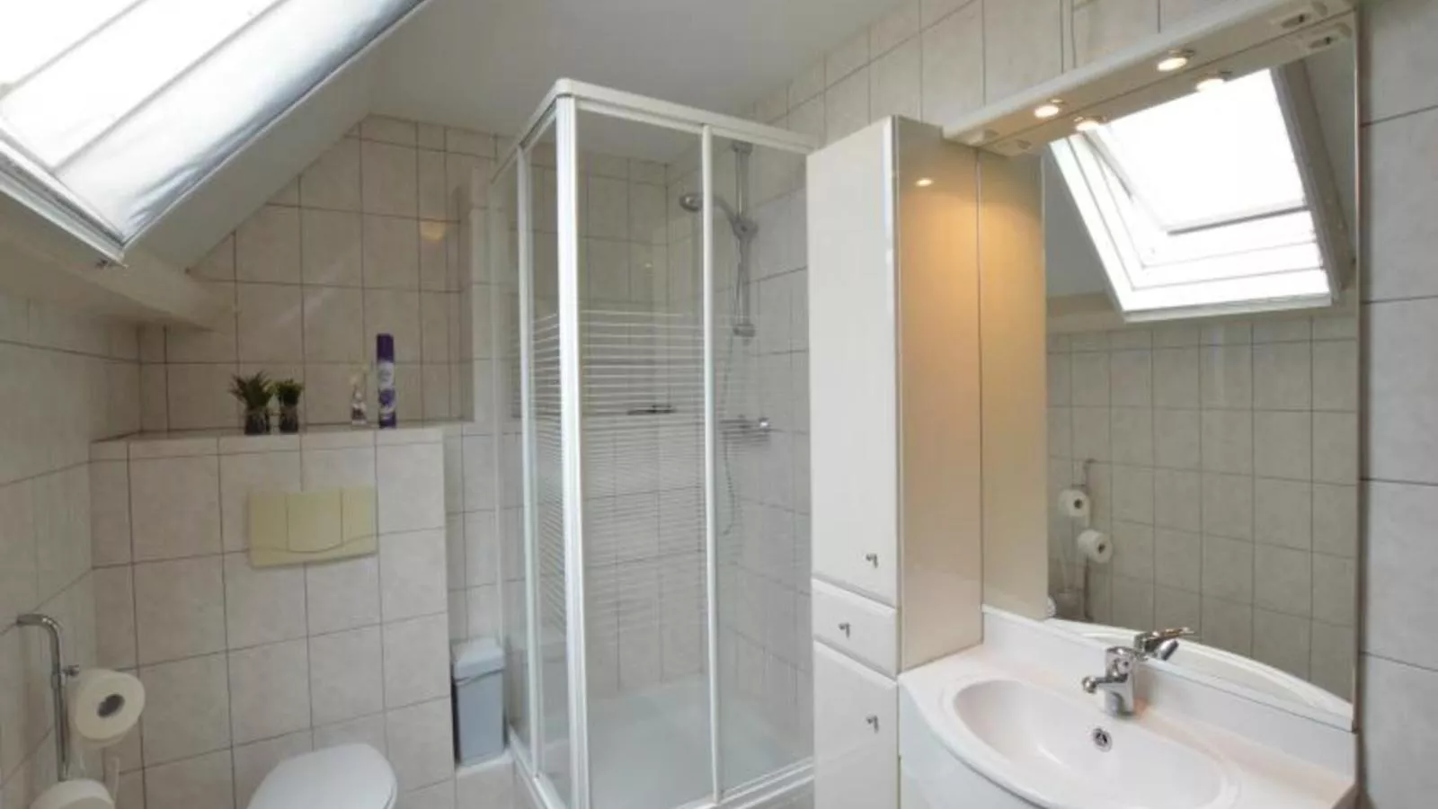 De Open Schuur-Badezimmer