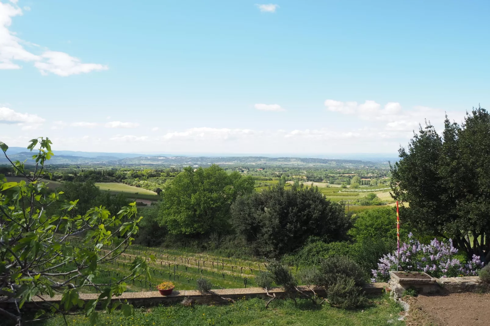 Doppelhaushälfte in Bédoin-View in summer