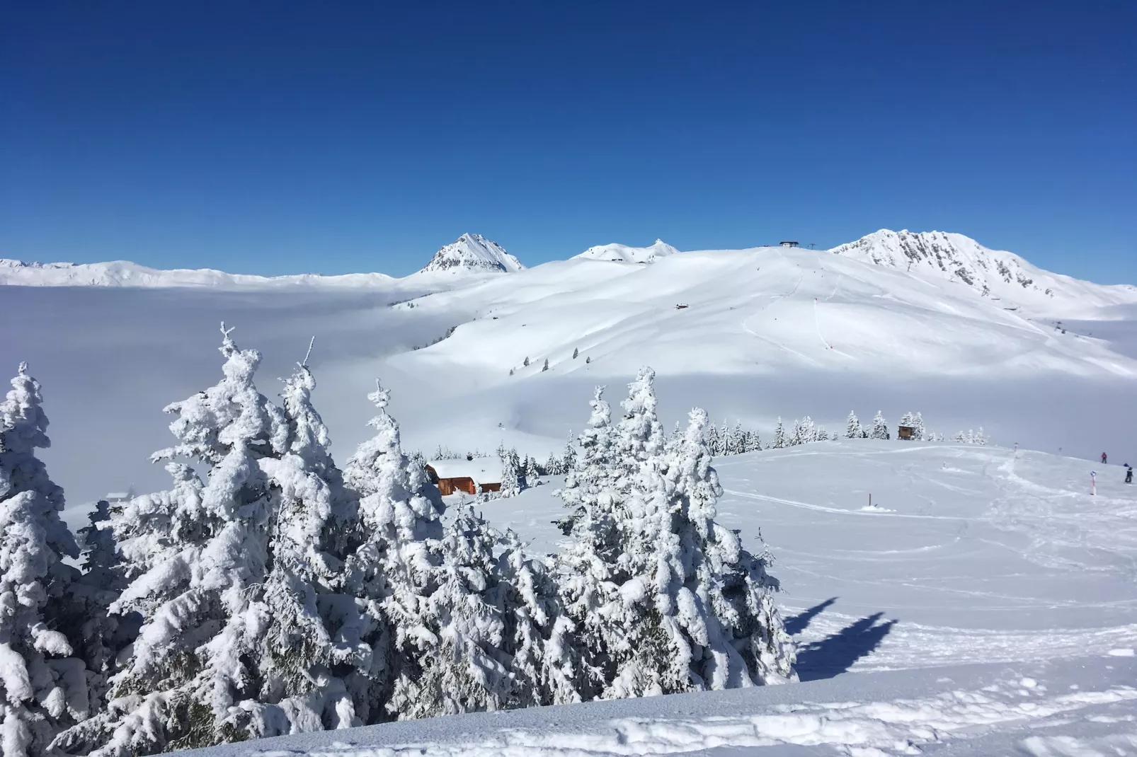 Ferienwohnung Mayrhof-Area within 5km in winter