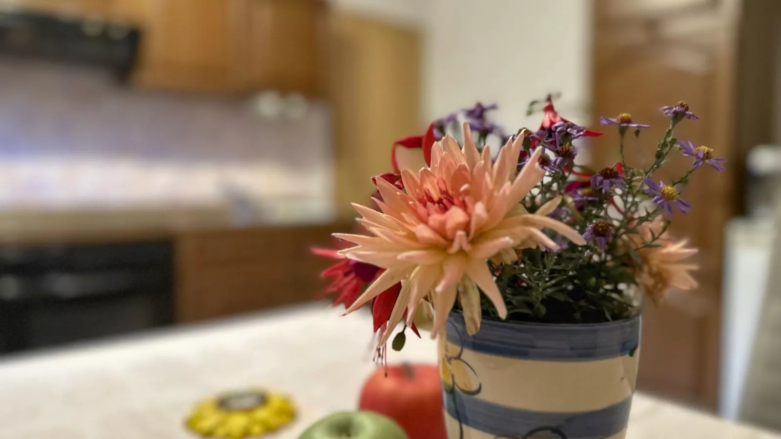 Am Sonnenblick-Kitchen