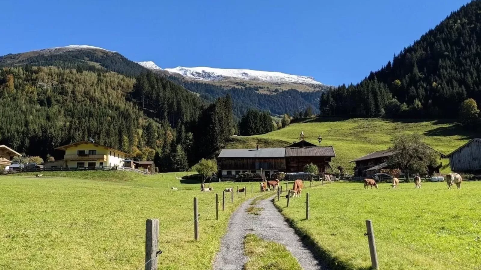 Haus Tauernblick Top 3 und 4-Gebiete Sommer 5 km