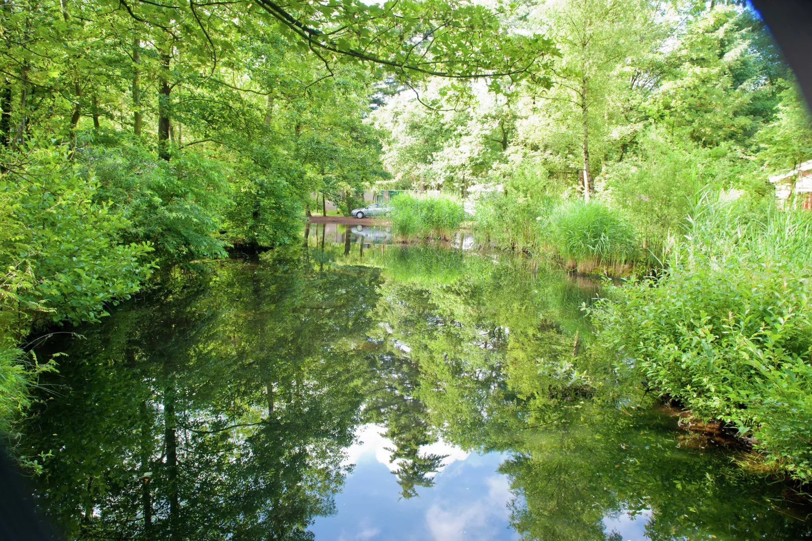 Vakantiepark de Berkenhorst 12 - Zones été à 5 km