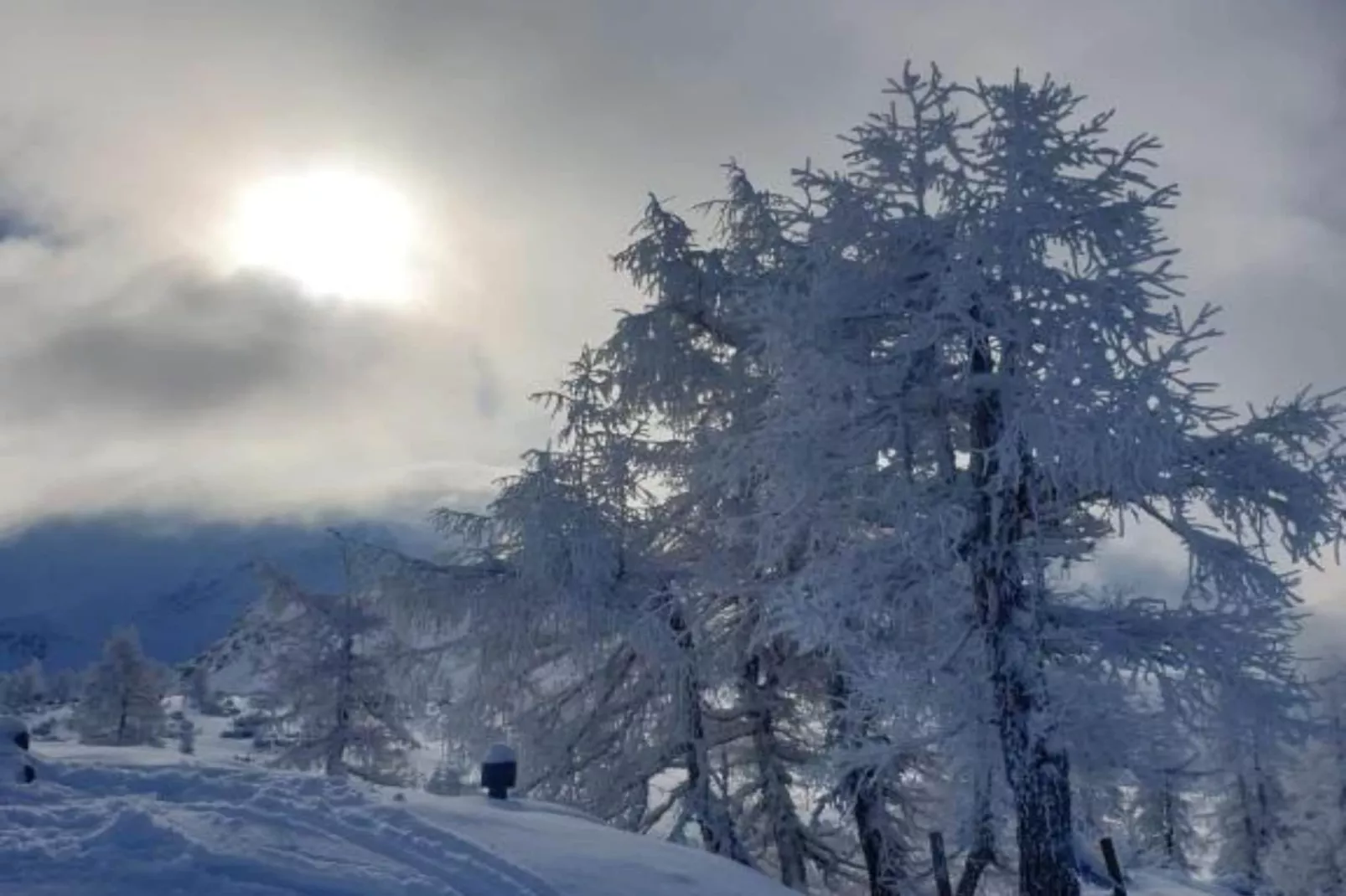 Apartment HAL  - one bedroom apartment-Outdoor