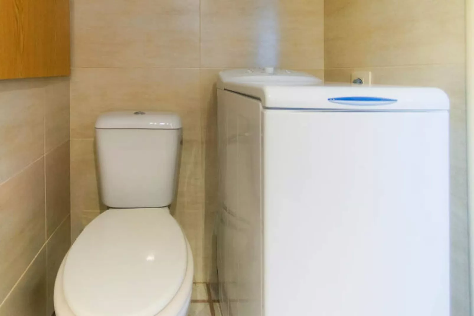 Studio à Roses-Untagged