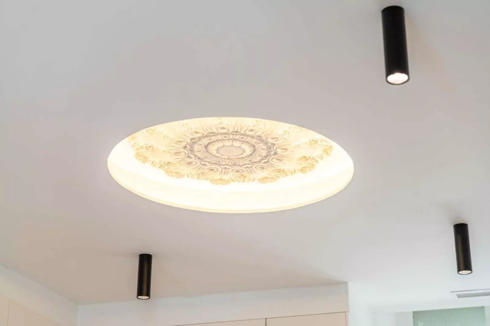 LL-13-ROSOLIEL-Untagged