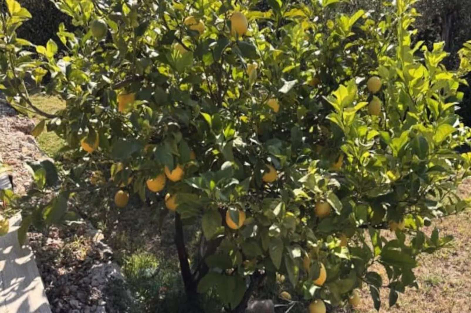 Plen Souleu Villa Haut Standing, Piscine, Jacuzzi, Sauna, Airco By Sunset-Untagged