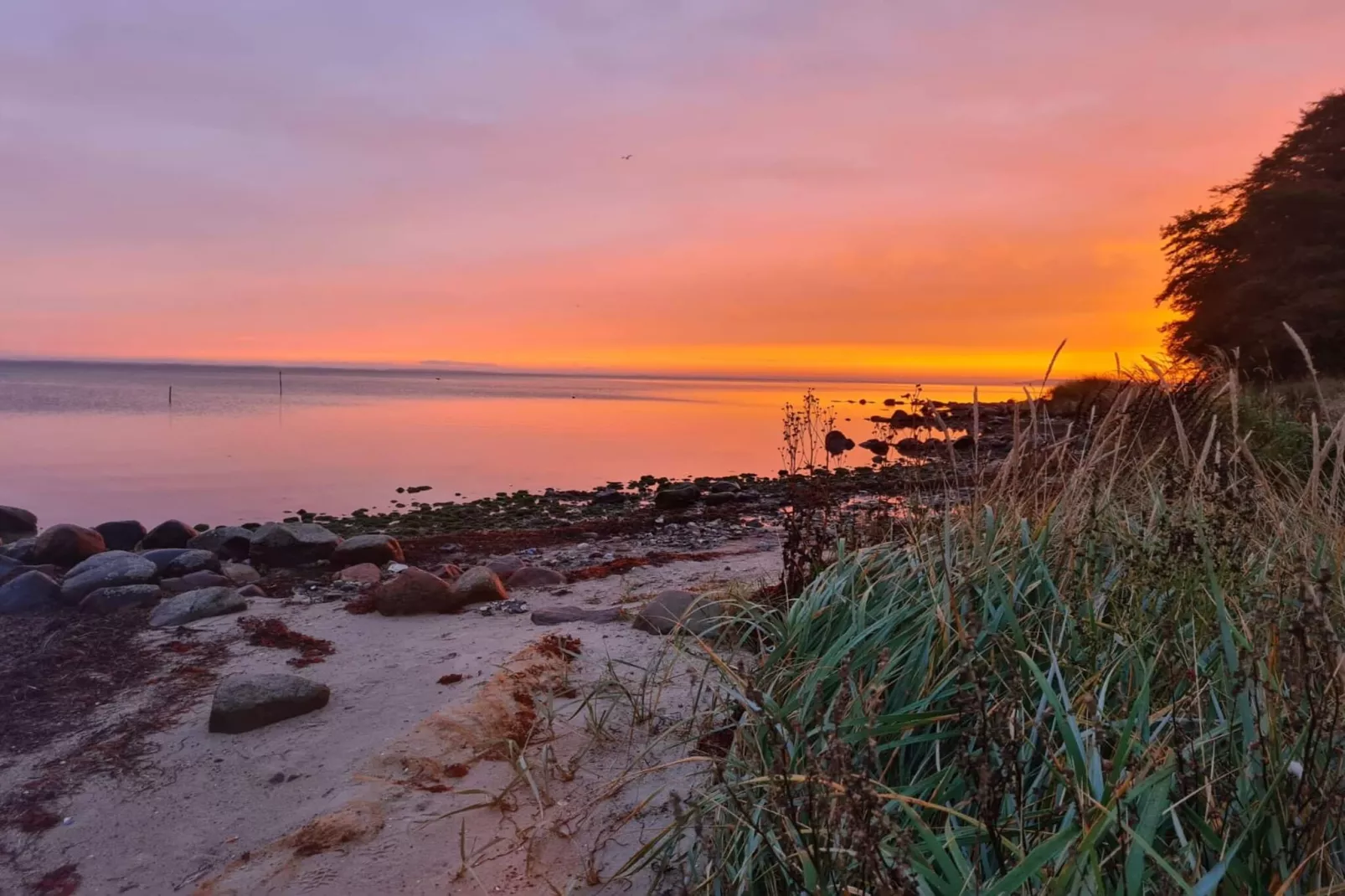 5 person holiday home in Hejls-Water view