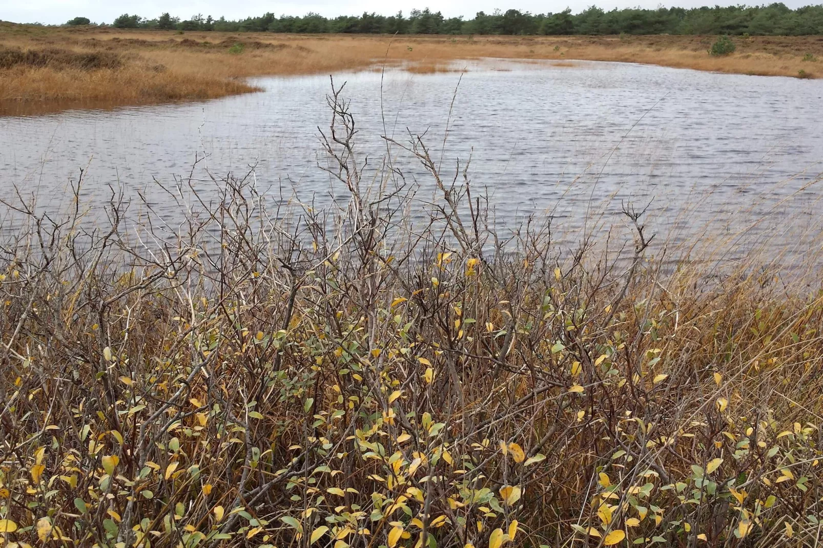 Tranquil Thatched Cottage on Romo-By Traum-Water view