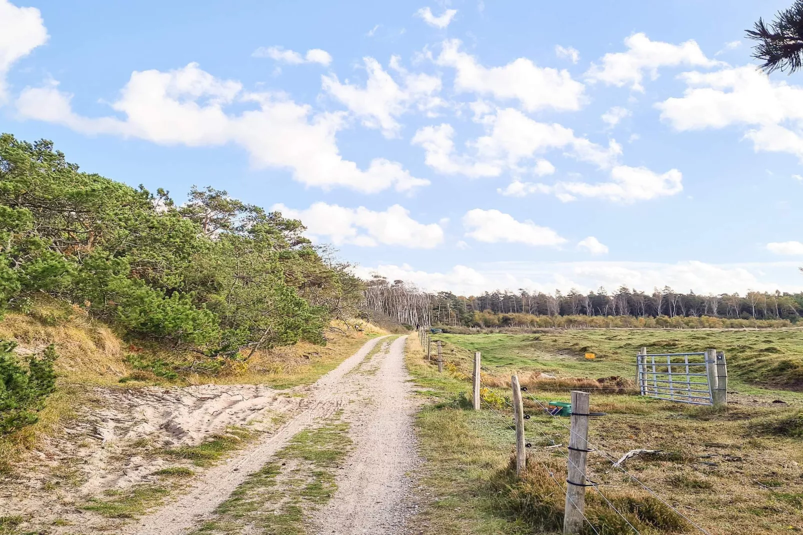 8 person holiday home in Frederiksværk-View
