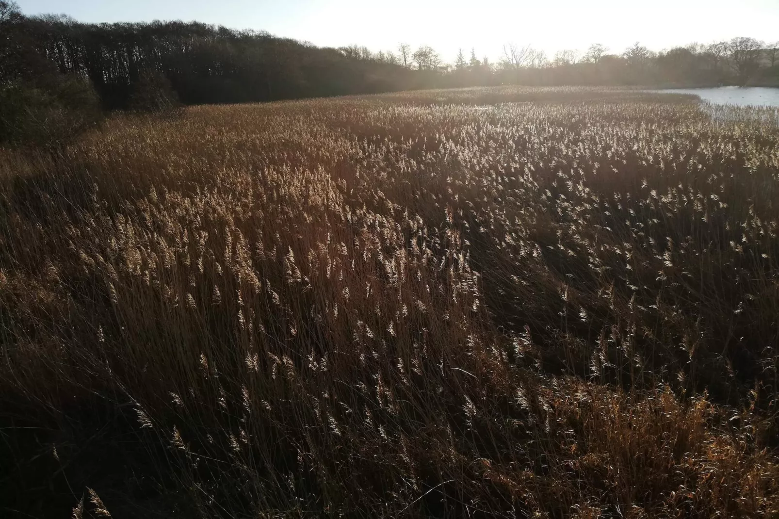 Maison de vacances pour 6 a Ebeltoft-Vue sur l'eau