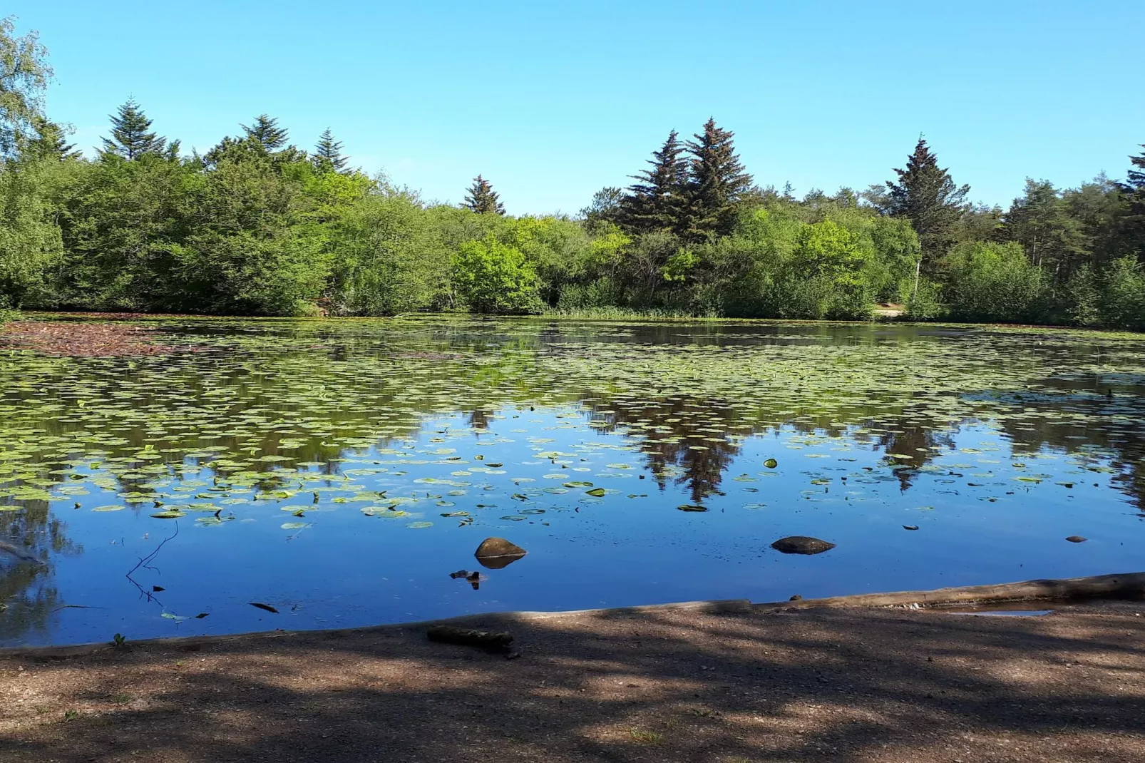 6 person holiday home in Bindslev-Water view